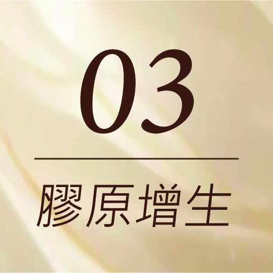 ALL_service_25L03_X7EDZldVZX