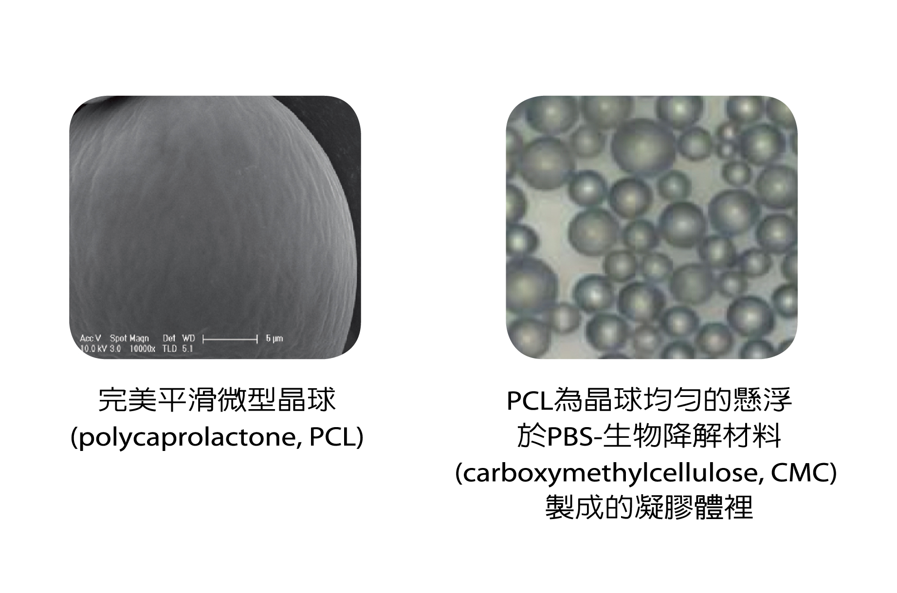 ALL_service_25L03_sZquHn5DQu