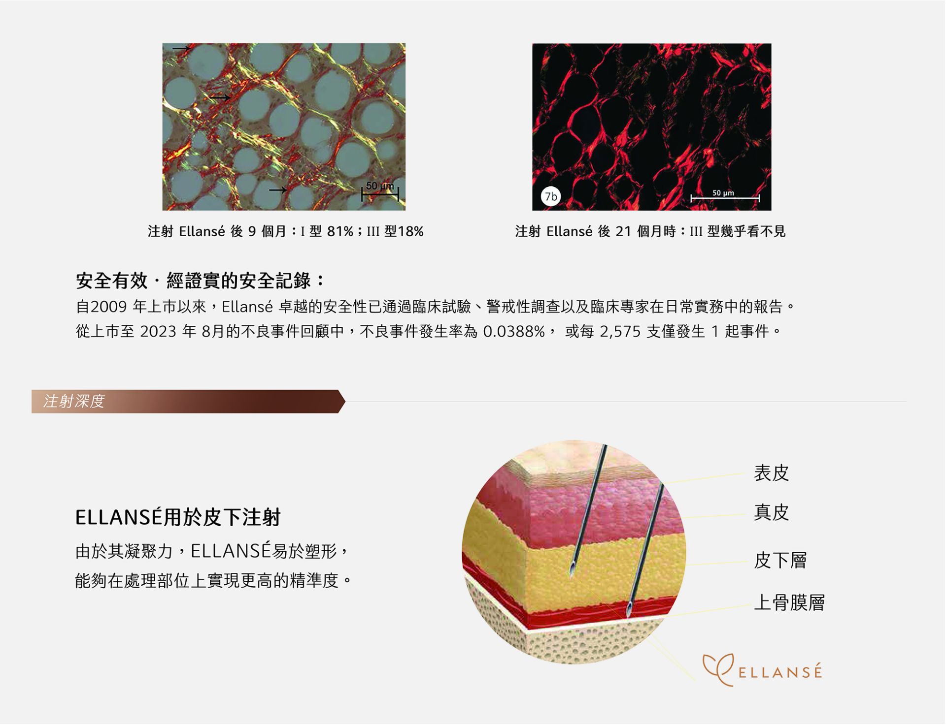 ALL_service_25L03_tTGPIZ5WoZ